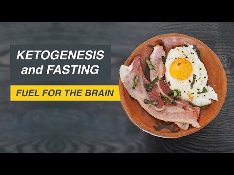 Ketogenesis and Fasting: Fuel for the Brain